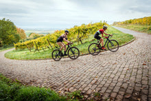 Lade das Bild in den Galerie-Viewer, Rotwild R.R275 X ULTRA