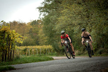 Lade das Bild in den Galerie-Viewer, Rotwild R.R275 X ULTRA