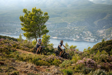 Lade das Bild in den Galerie-Viewer, Centurion Country R2000 LX ABS