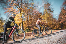 Lade das Bild in den Galerie-Viewer, Coboc Iseo