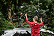 Lade das Bild in den Galerie-Viewer, Coboc Merano