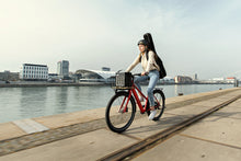 Lade das Bild in den Galerie-Viewer, Coboc Bristol TPZ