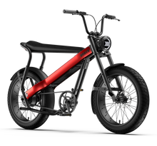 Lade das Bild in den Galerie-Viewer, Brekr Model F