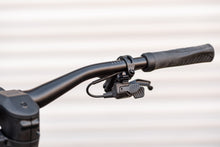 Lade das Bild in den Galerie-Viewer, Rotwild R.C1000 2026er Modell (1060WH)