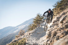 Lade das Bild in den Galerie-Viewer, Rotwild R.E735 CORE