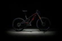 Lade das Bild in den Galerie-Viewer, Rotwild R.EXC ULTRA