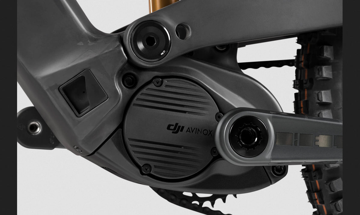 Rotwild 900 CORE mit DJI Avinox Motor – - Main Image