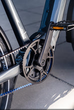 Lade das Bild in den Galerie-Viewer, Steppenwolf Transterra Sport 9.0 DJI Enviolo