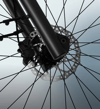 Lade das Bild in den Galerie-Viewer, Tenways Longtail Duo