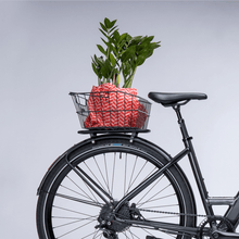 Lade das Bild in den Galerie-Viewer, Coboc Racktop mit Federklappe