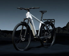 Lade das Bild in den Galerie-Viewer, Tenways AGO X