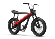 Lade das Bild in den Galerie-Viewer, Brekr Model F