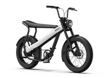 Lade das Bild in den Galerie-Viewer, Brekr Model F