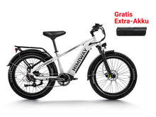 Lade das Bild in den Galerie-Viewer, Himiway D5 (Zebra)
