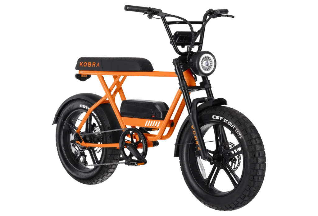 fahrrad de fatbike KOBRA V1.2 – Von Roubaix zum Rhein: reaction-stereo-goodies Größe:EU 42