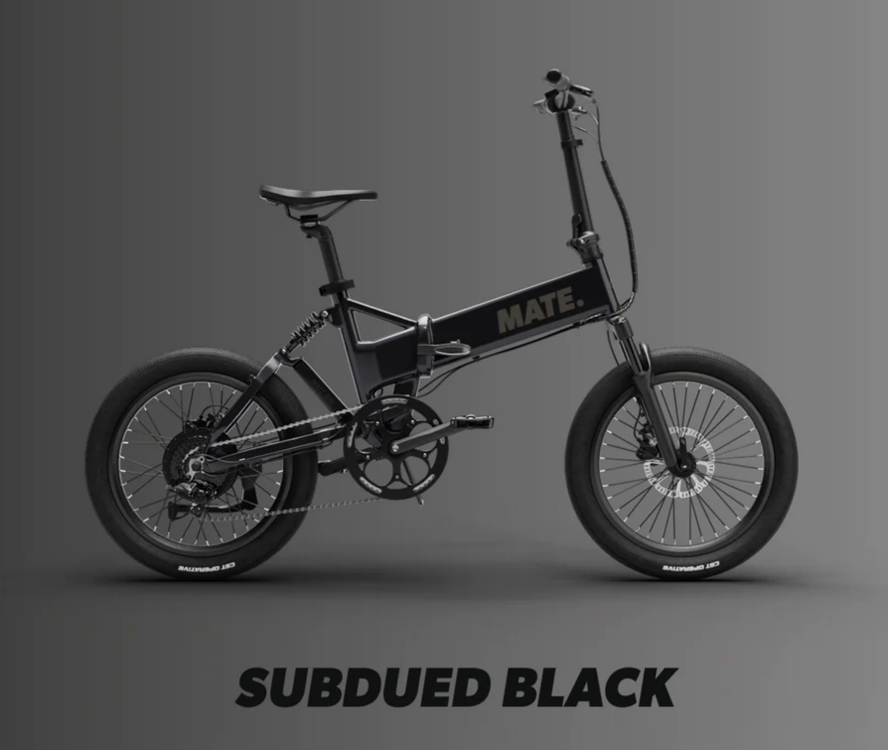 Mate Fusion – ebike-warehouse.de